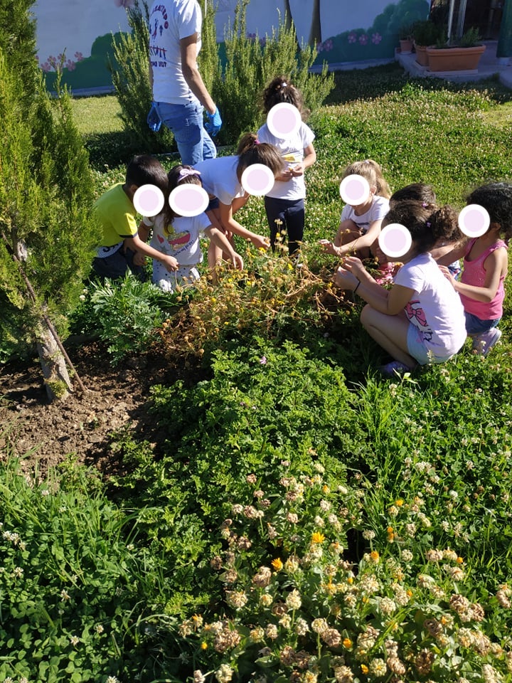 Completion of implementation phase to develop models of outdoor education